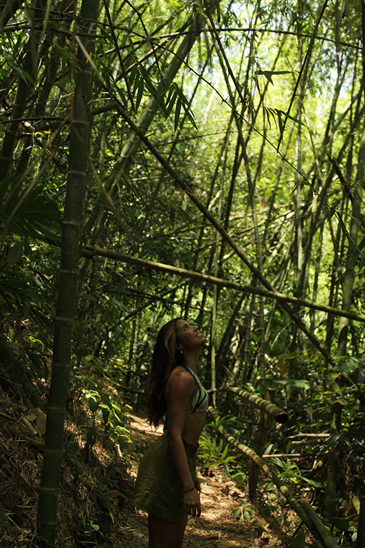 Bosque de guadua paseo MuchoSur Quimbaya