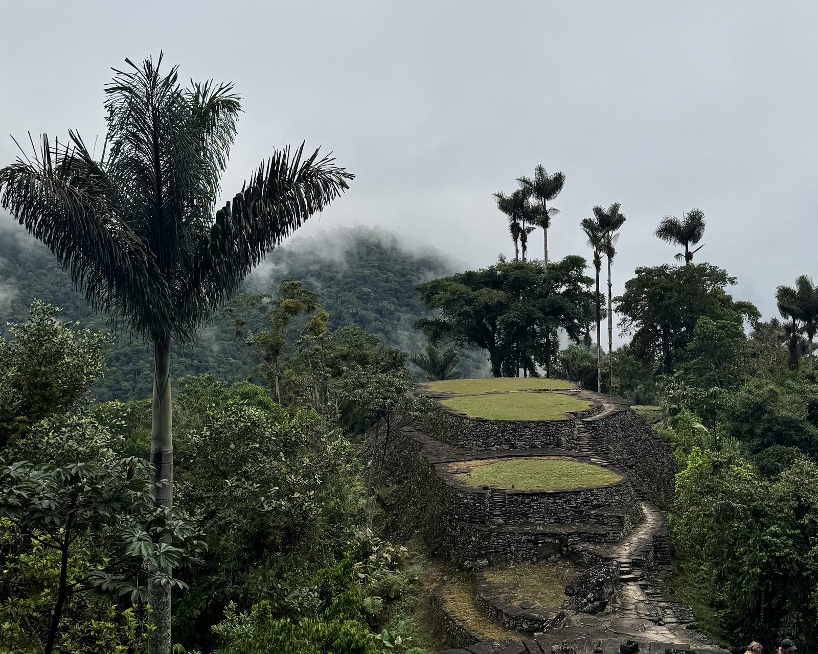 Terrazas de la Ciudad Perdida (Teyuna) en la Sierra Nevada de Santa Marta