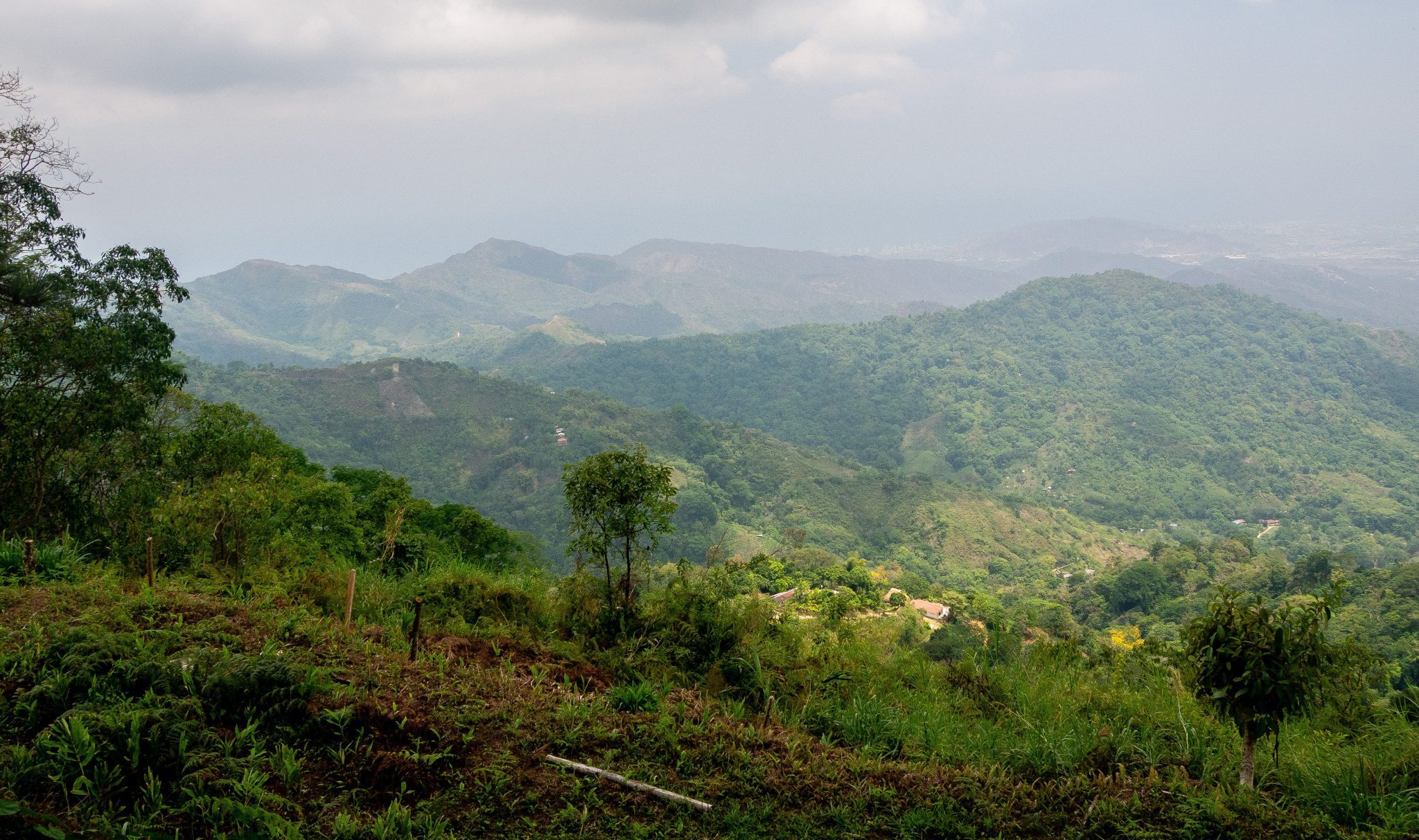 Montañas verdes de la Sierra Nevada de Santa Marta en el camino a Minca, Colombia