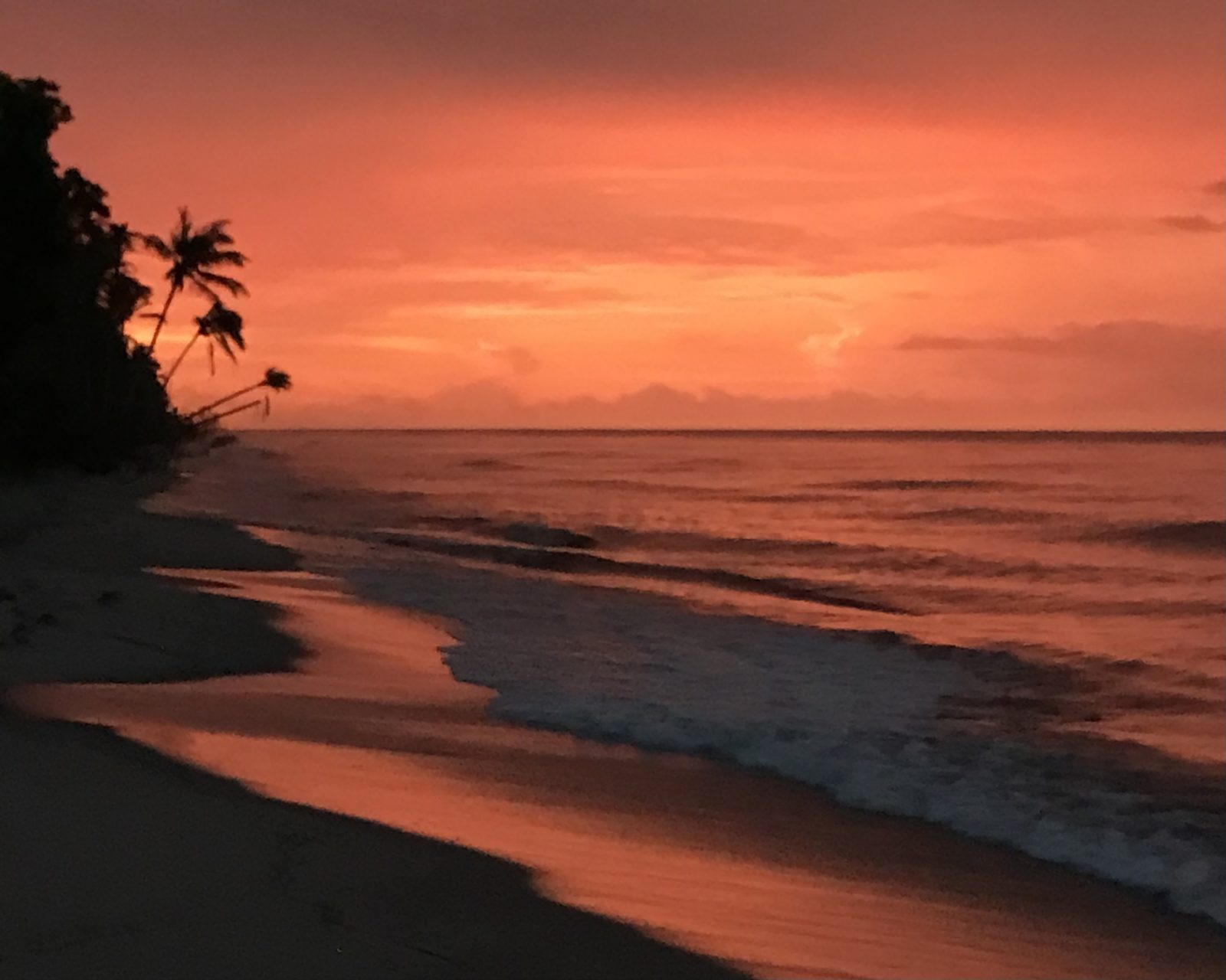 Playa de Palomino con palmeras al atardecer en La Guajira