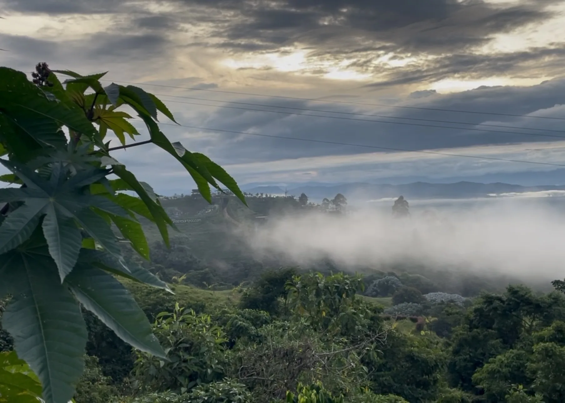 Colinas verdes con niebla baja en el valle al atardecer, cerca de Filandia