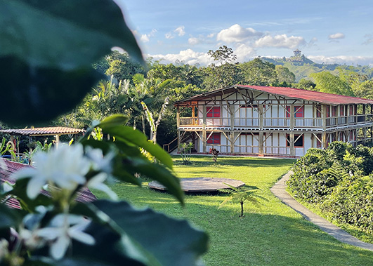 MuchoSur Filandia — Nature Lodge · Junto al pueblo