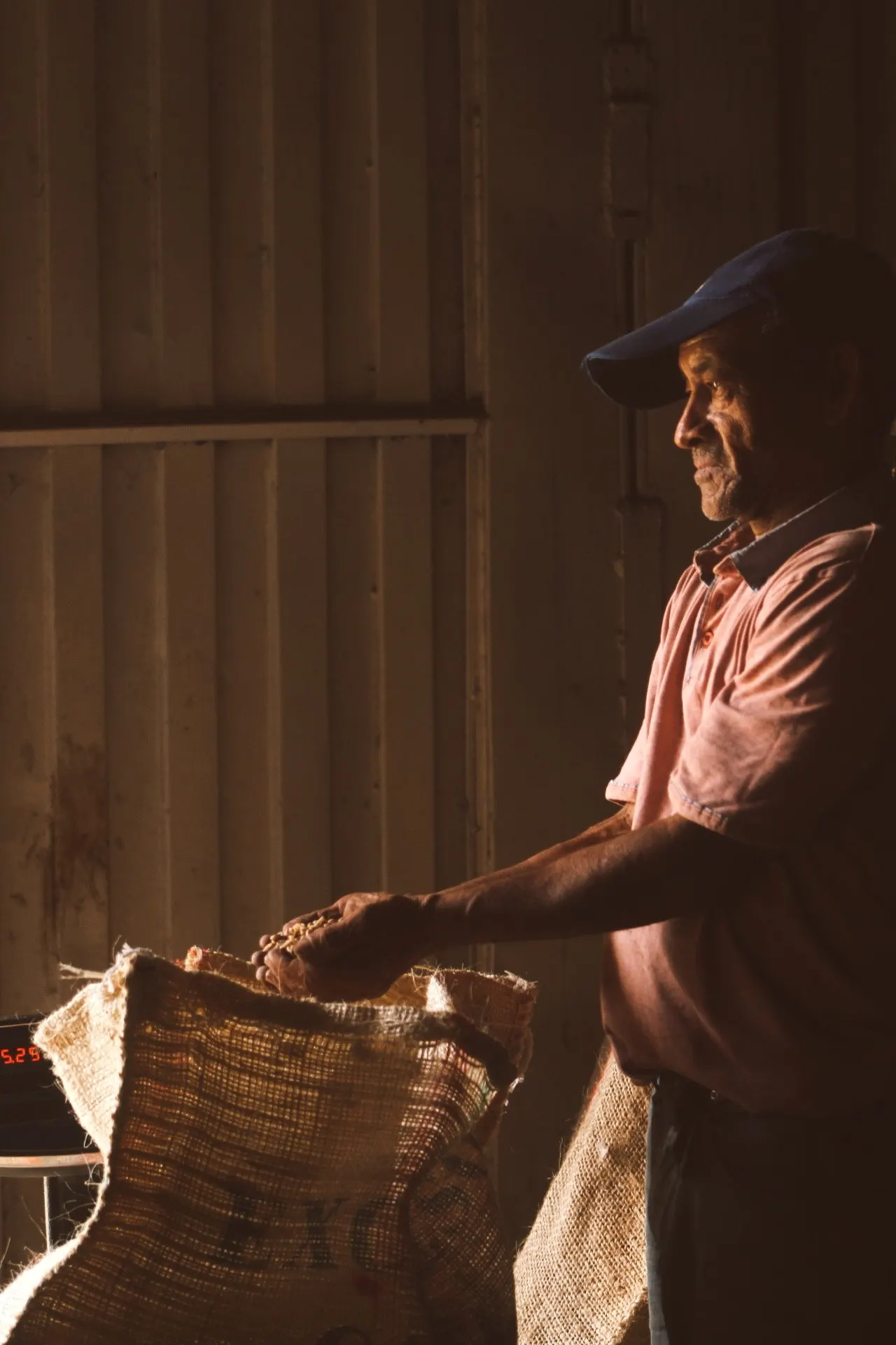 Caficultor seleccionando granos de café en una finca cerca de Filandia